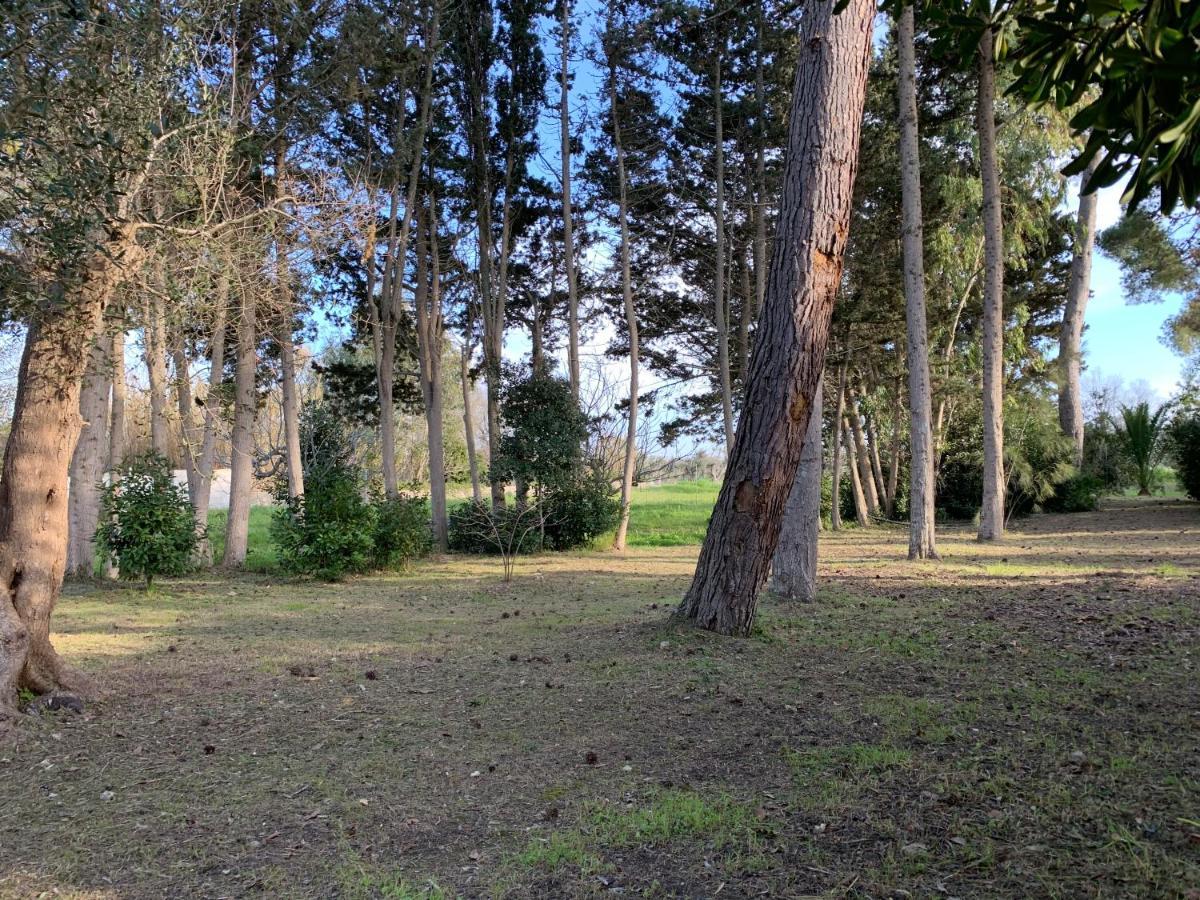 Eden Torre Dell Orso Apartman Torre dell'Orso Kültér fotó